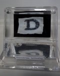 Tattooed Skin - "D"